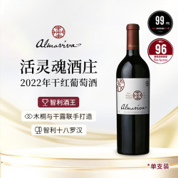 活灵魂 ALMAVIVA 活灵魂 干红葡萄酒 2022年 750mL 单支装