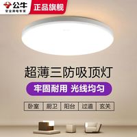  BULL/公牛 现代简约 吸顶灯