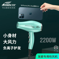 艾信 3010 负离子护发 电吹风机