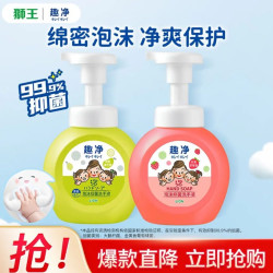 狮王 泡沫洗手液 青芒香+草莓香 250ml*2瓶 组合装