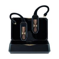 iFi GO pod可穿戴式高清蓝牙解码耳放 骁龙畅听技术 96kHz