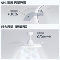  PHILIPS/飞利浦 护眼 吊扇灯