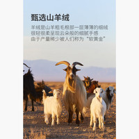 HECHTER【含羊绒】男士半高领套头保暖羊毛衫舒适轻盈毛衣轻奢 碳灰TN42214-高领款【色】 L 碳灰-高领款【色】