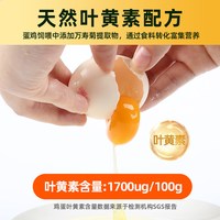 天猫超市 无抗生素 可生食鸡蛋
