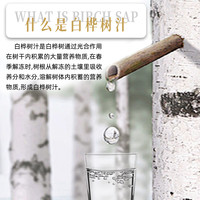  pukou/葡口 大果肉颗粒 葡萄汁饮料  100%白桦树汁238ml*10瓶 箱装