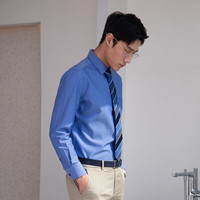 雅戈尔(YOUNGOR)长袖衬衫男素色DP免烫衬衫全棉面料舒适透气平整抗皱易打理 蓝色素色 41 (175/96A)