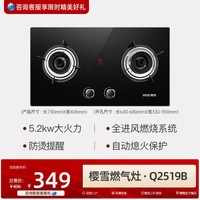 樱雪 燃气灶261Q2液化天然气灶具家用厨房嵌入式双灶