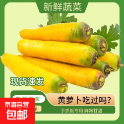 京喜 新疆冰糖心金黄胡萝卜水果萝卜 含箱500g