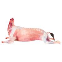 羊家旺宁夏盐滩羊肉 生鲜羊肉现宰整只羊半只乳羔羊羊腿羊排礼盒源头直 28斤整只黑山羊(按单现杀)