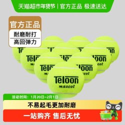 天龙 网球用球603Rising801Ace初学训练球高回弹力袋装耐磨