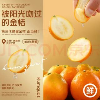 年货好礼：京鲜生 广西融安脆蜜金柑（第三代） 净重2斤（单果17g+）