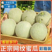 百亿补贴：御品一园 冰淇淋网纹蜜瓜 4.5斤起