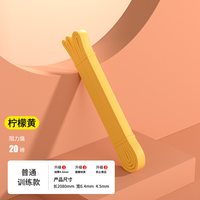 斯朗盾 健身弹力带 LLD0905 助力带 瑜伽弹力绳圈