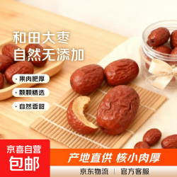 新疆和田大枣免洗即食红枣蜜饯果干新货大红枣骏枣休闲零食煲粥枣 和田大枣500g*1袋