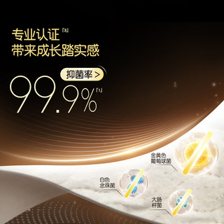 大王 云绒舱拉拉裤 L码 柔软抑菌
