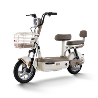 立马新新国标电动自行车智能电动车48v代步通勤电瓶车 48V 21ah