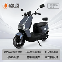 欧派 长续航电动车 欧派长续航电动车 60V 20Ah