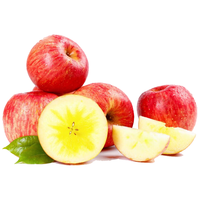 源外 新疆阿克苏冰糖心苹果 10斤带箱优选果 新鲜水果生鲜红富士 精选大果 (约18个左右)