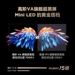 雷鸟 75寸 鹤6 Ultra 低反屏 700+分区 miniled 电视