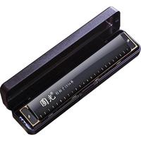 國光 上海国光口琴24孔复音C调初学者学生儿童成人自学入门口风琴乐器