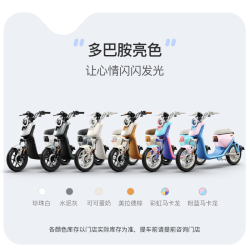 小牛电动 U1 one 电动自行车 48V30Ah锂电