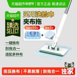 美丽雅 一键装卸布 多功能小拖把