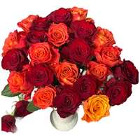 京东鲜花 玫瑰花20枝鲜切花花年宵花基地现采现发源头直发