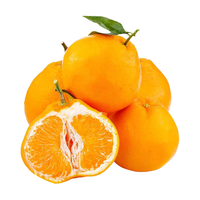 京觅四川春见耙耙柑生鲜水果彩箱净重4.5斤单果75mm+源头直发