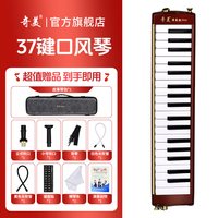 奇美口风琴37键32初中生小学用儿童专业初学者成人吹管乐器 【37键酒红色】【舞台演奏级MAX6代簧片】【音量提升20%】