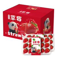 京典光年大凉山草莓 99红颜草莓 四川现摘草莓新鲜水果 250g/24枚*4盒