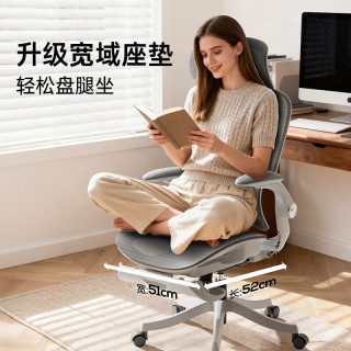 黑白调 P2pro二代人体工学椅 电脑椅