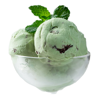 徐某某家庭装冰淇淋 薄荷巧克力口味1.6公斤 雪糕冷饮桶装意式gelato