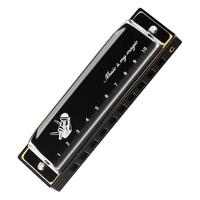 天鹅十孔布鲁斯口琴10初学者入门蓝调儿童C调专业演奏级paddy