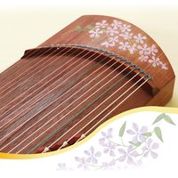 敦煌小古筝红木悦小筝实木专业考级演出9694OX100cm一米便携短筝
