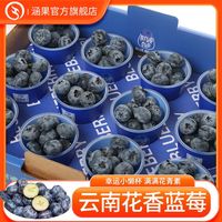 百亿补贴：涵果 云南花香蓝莓高海拔蓝莓小懒杯 60g*4杯