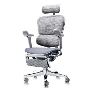 今日必买：Ergonor 金豪E2 Pro 人体工学电脑椅 银白云感坐垫