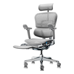 Ergonor 保友金豪E2 Pro 人体工学椅 办公椅电脑椅电竞椅 银白网+躺舒宝
