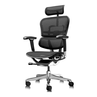 Ergonor 保友金豪E2 Pro 旗舰人体工学椅 办公椅电脑椅电竞椅 久坐真不累 黑色网