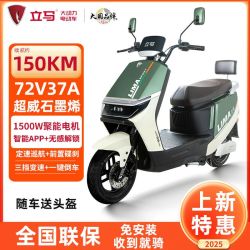 立马 大动力电动车H5长续航高速电动摩托车1500W大功率电摩电瓶车