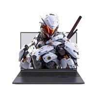  MECHREVO/机械革命 极光X RTX5060 游戏本