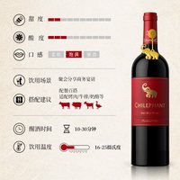 智利原瓶智象缤纷干红葡萄酒750ml*6瓶整箱聚会热红酒晚安