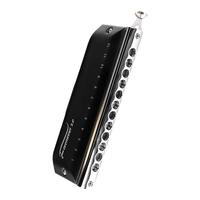 东方鼎 先行者12孔无膜半音阶口琴C调T1248NV用入门专业演奏