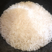 新天润广东丝苗米 5kg 十斤 南方籼米 大米 新供销天润 煲仔饭米 老客户回购多 15kg