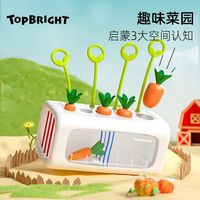 百亿补贴：TOP BRIGHT 宝宝塞塞乐玩具1一2岁空间认知益智忙碌动手儿童周岁礼物