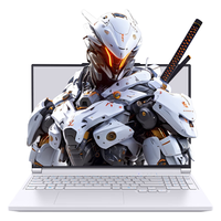  MECHREVO/机械革命 极光X RTX5060满血独显 游戏本
