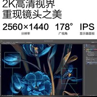  PHILIPS/飞利浦 2K低蓝光 显示器