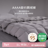 霞珍 95鹅绒被子 轻音保暖双人被芯 适宜室温10-15℃ 冬被-200*230cm-填充1000g 冬被