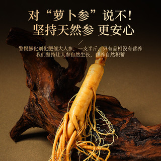 半山农 人参100克【2盒+礼袋】长白山保鲜人参泡酒药材年货礼盒 【保鲜人参礼盒】2支100克