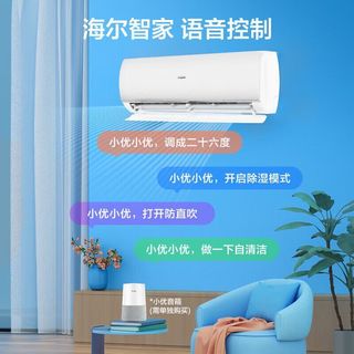 海尔 静悦系列 新一级能效变频冷暖 壁挂式空调