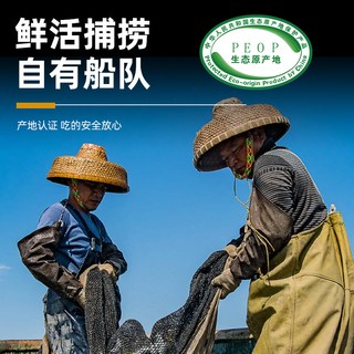 大虾仁鲜冻特级无冰青虾仁新鲜大号虾仁肉冷冻去虾线鲜活海鲜水产 大号1斤【超值】每斤约50粒